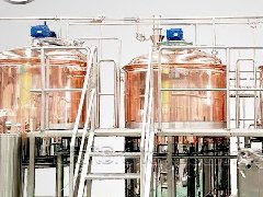 <b>What is the mashing in beer brewing</b>